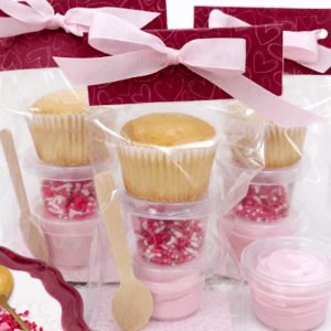 Mini Me Cupcake DIY Kit